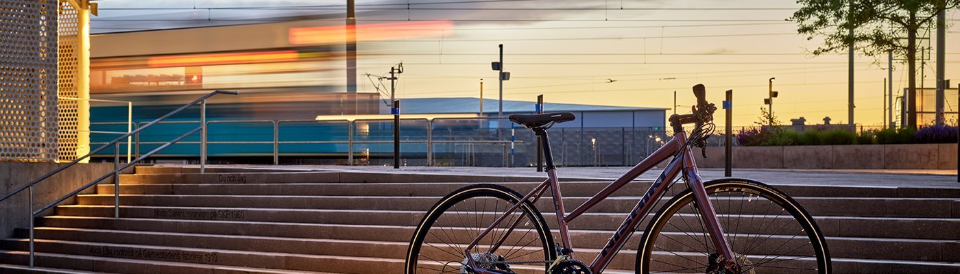 Nishiki